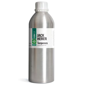 Photo of Jack Herer Terpenes